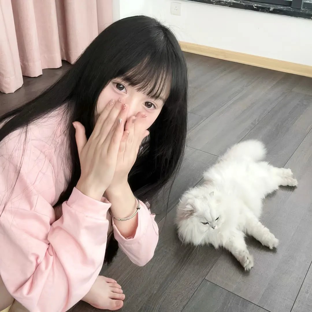 玩具熊
